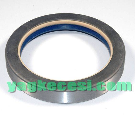 5135387 Ön Defransiyel keçesi 90 120 13