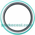 2475977 IVECO PORYA KEÇESİ